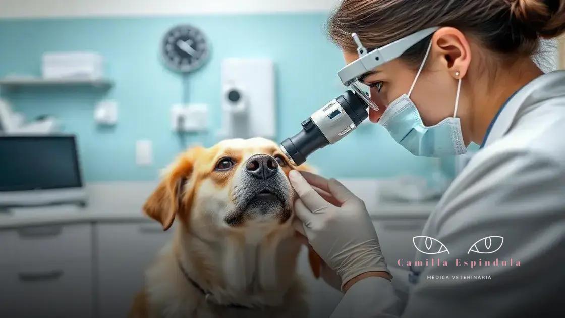 clínica oftalmológica veterinária cabo frio: cuidado especializado para os olhos do seu pet
