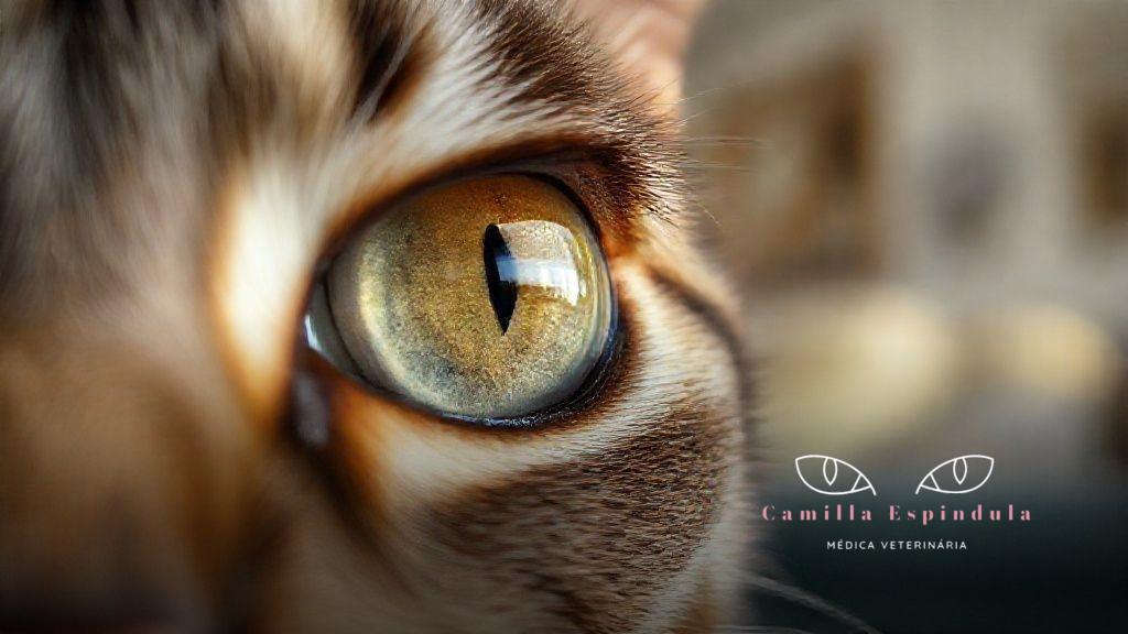 Sintomas que podem indicar problemas visuais