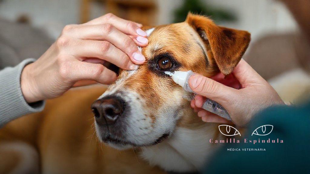 Conclusão: a importância de agir rápido e com acompanhamento profissional