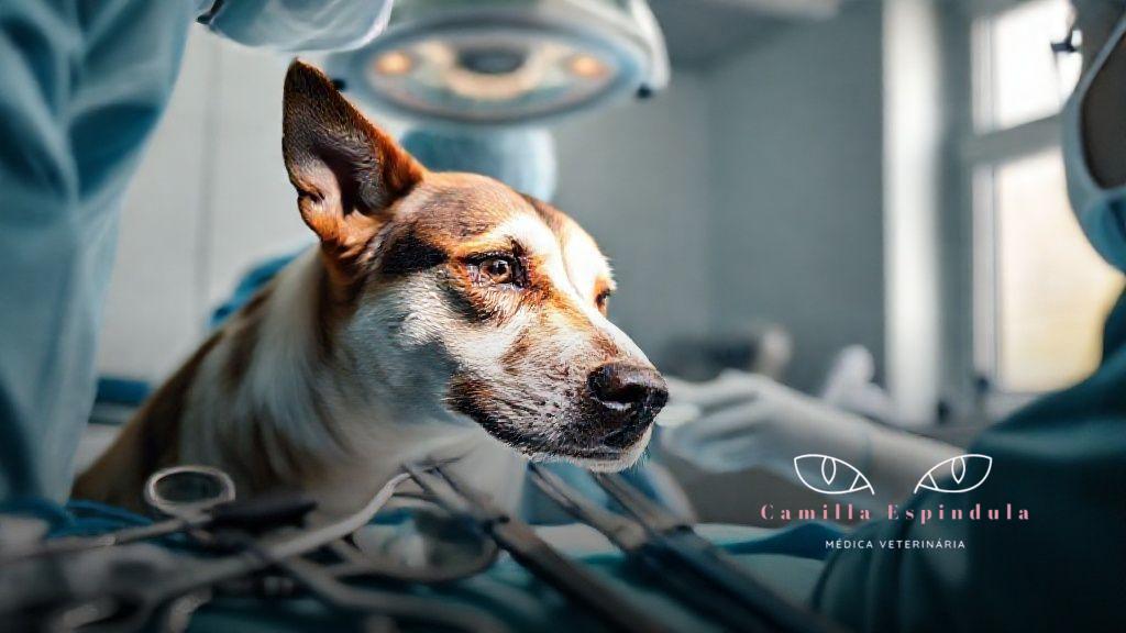 Cuidados pós-operatórios essenciais